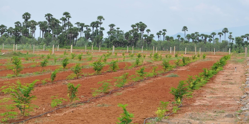 AGROFORESTRY LAND BANK